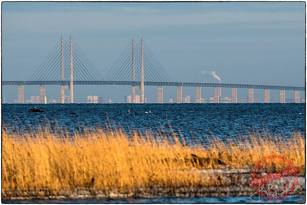 DSC_4220_CS2018_JBJ