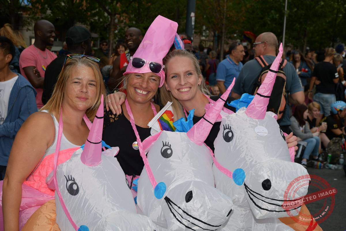 DSC_7481_resize