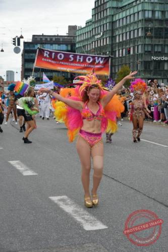 DSC_6893_resize
