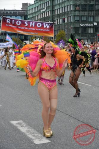 DSC_6895_resize