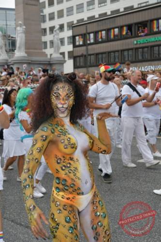 DSC_6932_resize