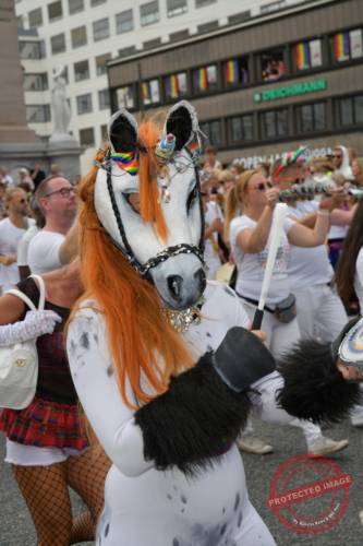 DSC_6939_resize