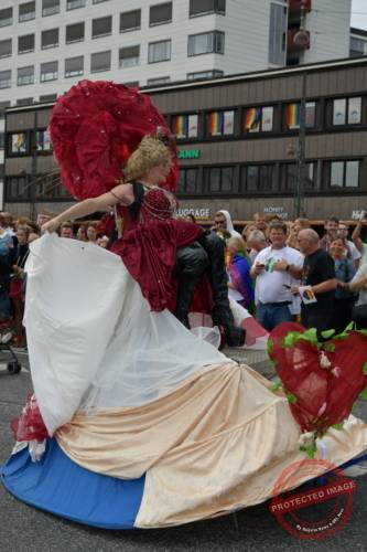 DSC_7011_resize