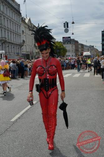 DSC_7018_resize