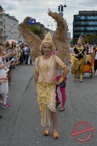 DSC_7038_resize