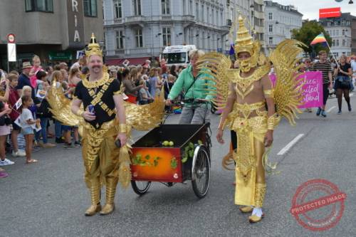 DSC_7039_resize