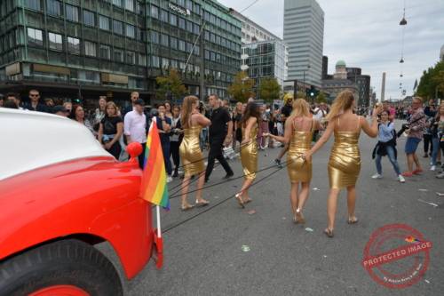 DSC_7355_resize