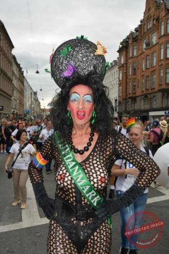 DSC_7360_resize