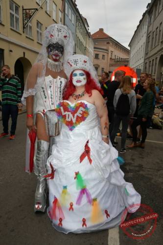 DSC_7566_resize